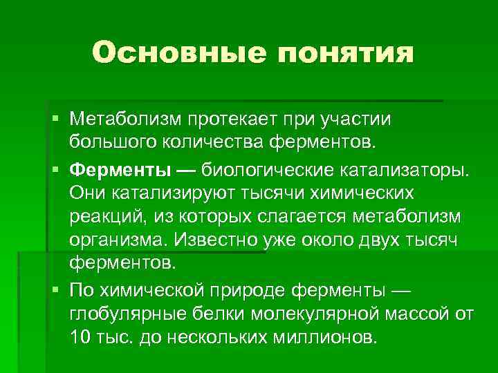 Основные понятия § Метаболизм протекает при участии большого количества ферментов. § Ферменты — биологические