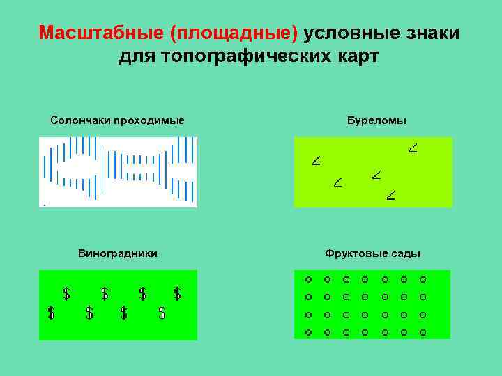 Масштабные (площадные) условные знаки для топографических карт Солончаки проходимые Виноградники Буреломы Фруктовые сады 