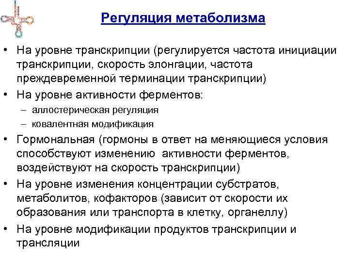 Регуляция транскрипции и трансляции в клетке и организме урок 10 класс презентация