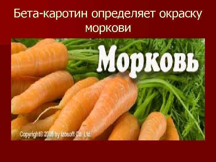 Бета-каротин определяет окраску моркови 