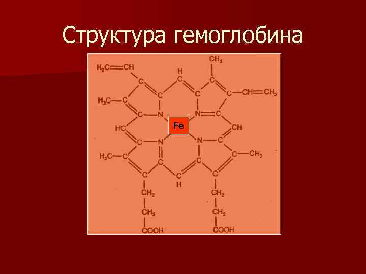 Структура гемоглобина Fe 