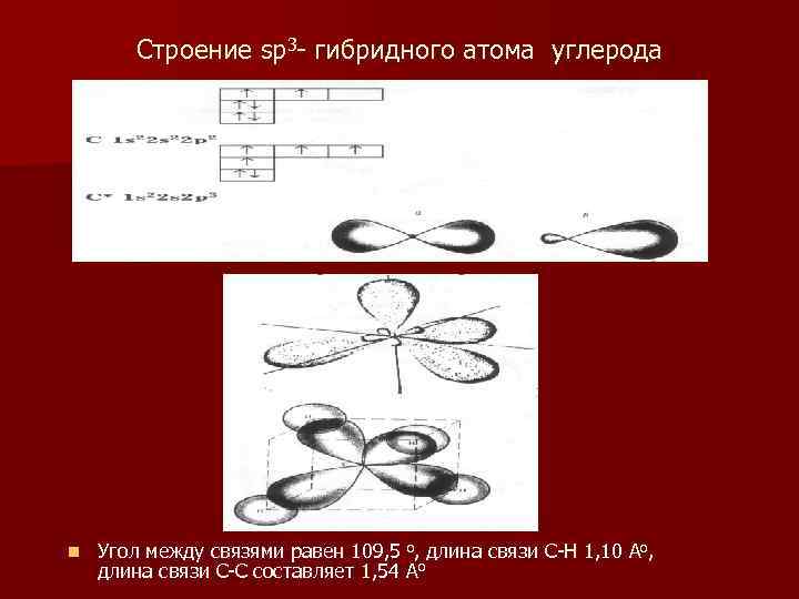 Строение sp 3 - гибридного атома углерода n Угол между связями равен 109, 5