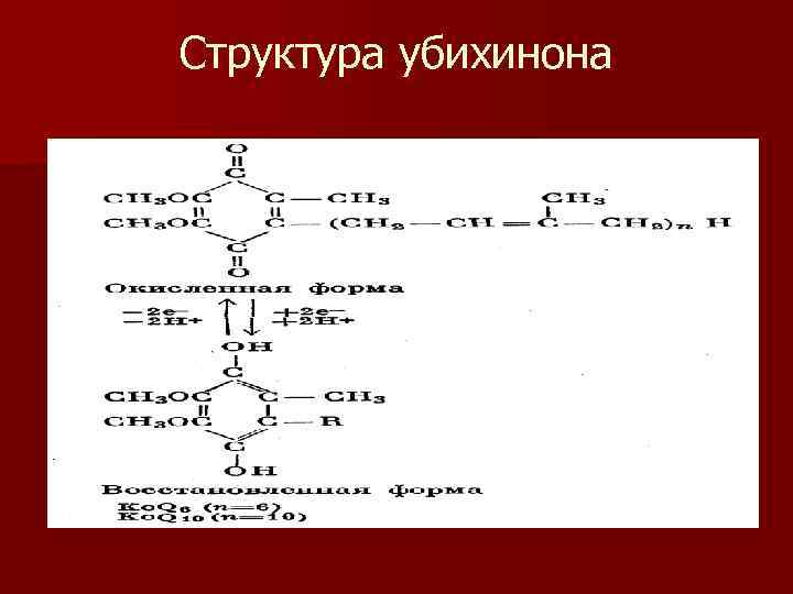 Структура убихинона 