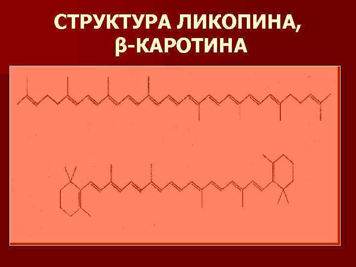 СТРУКТУРА ЛИКОПИНА, β-КАРОТИНА 