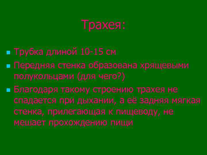 Трахея: n n n Трубка длиной 10 -15 см Передняя стенка образована хрящевыми полукольцами