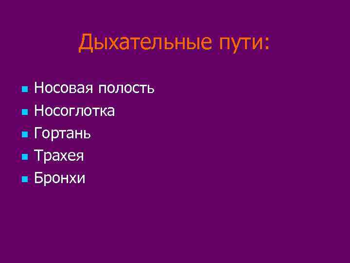 Дыхательные пути: n n n Носовая полость Носоглотка Гортань Трахея Бронхи 