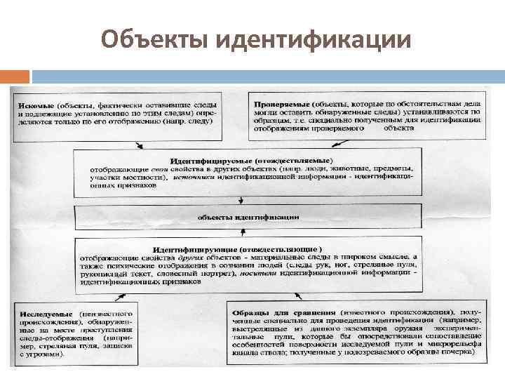 Объекты идентификации 
