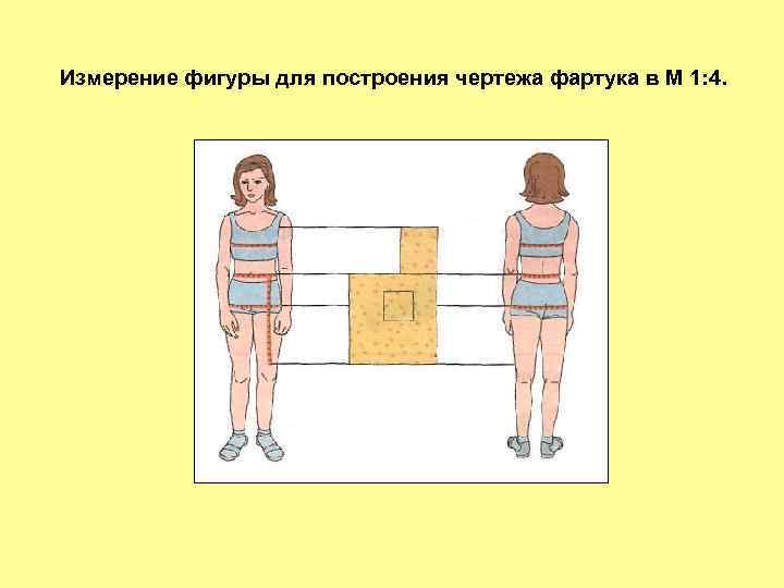 Измерение фигуры для построения чертежа фартука в М 1: 4. 