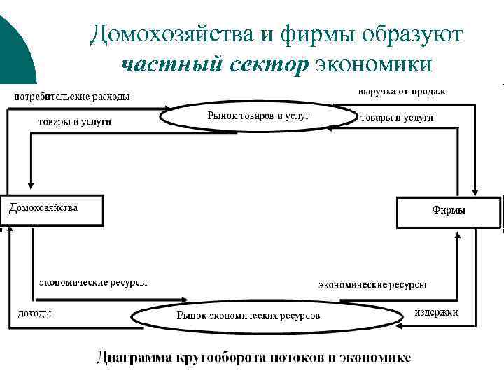 Домохозяйства и фирмы образуют частный сектор экономики 