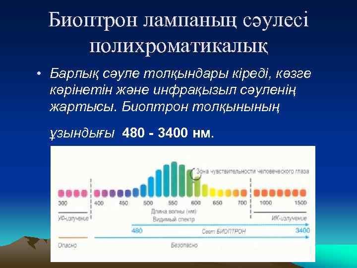 Биоптрон лампаның сәулесі полихроматикалық • Барлық сәуле толқындары кіреді, көзге көрінетін және инфрақызыл сәуленің