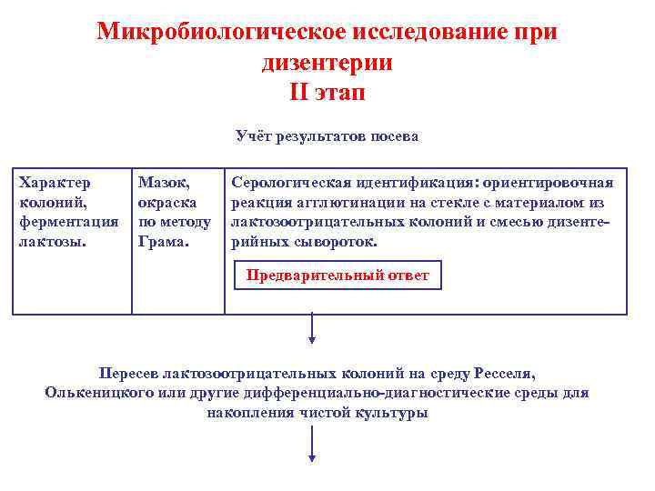 Микробиологическое исследование при дизентерии II этап Учёт результатов посева Характер колоний, ферментация лактозы. Мазок,