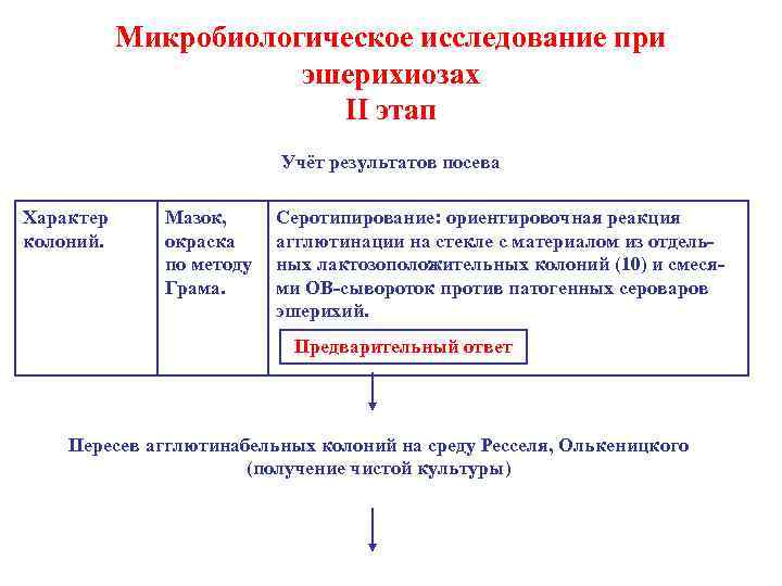Микробиологическое исследование при эшерихиозах II этап Учёт результатов посева Характер колоний. Мазок, окраска по