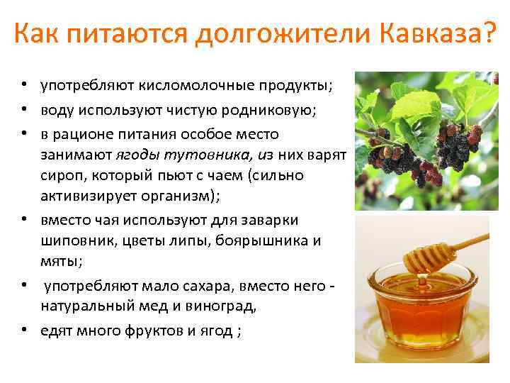 Как питаются долгожители Кавказа? • употребляют кисломолочные продукты; • воду используют чистую родниковую; •