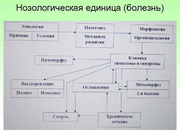 Нозологическая единица (болезнь) 