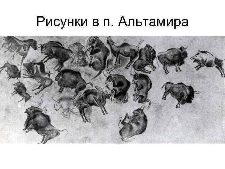 Рисунки в п. Альтамира 