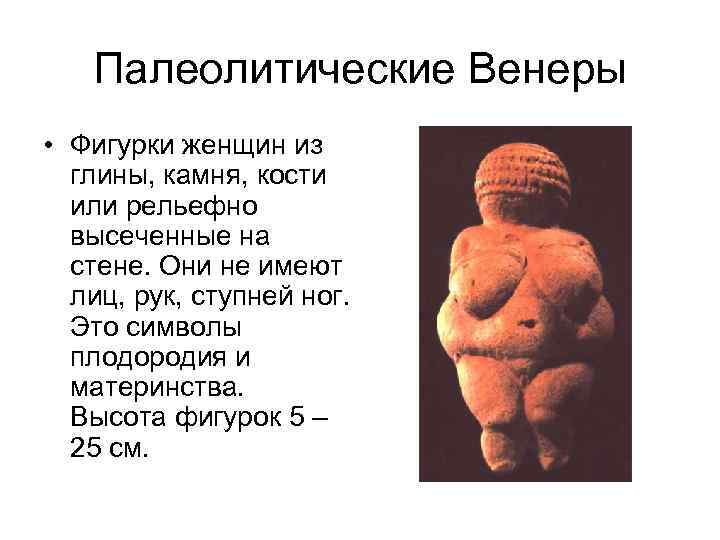 Палеолитические Венеры • Фигурки женщин из глины, камня, кости или рельефно высеченные на стене.
