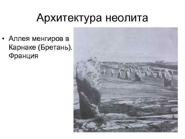 Архитектура неолита • Аллея менгиров в Карнаке (Бретань). Франция 