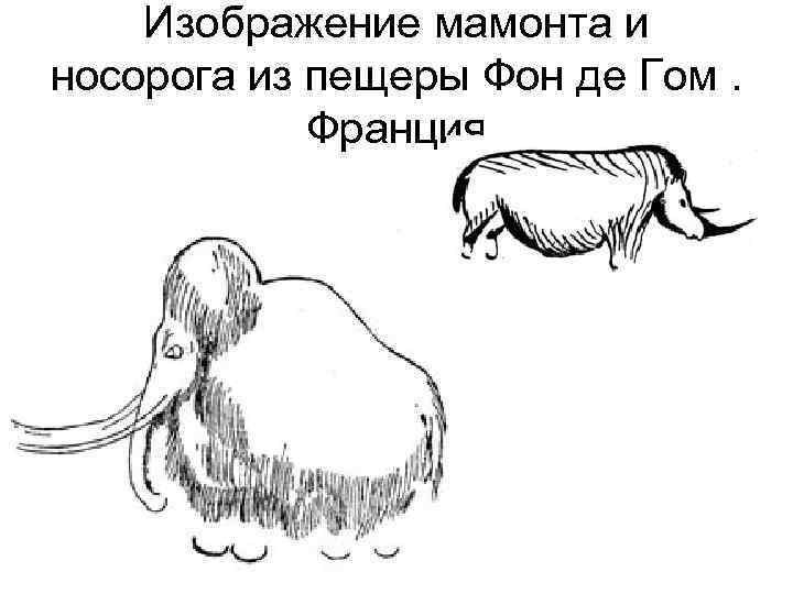 Изображение мамонта и носорога из пещеры Фон де Гом. Франция 