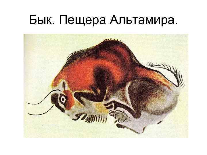 Бык. Пещера Альтамира. 