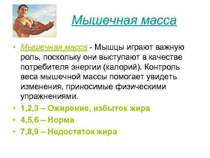 Мышечная масса • Мышечная масса - Мышцы играют важную роль, поскольку они выступают в