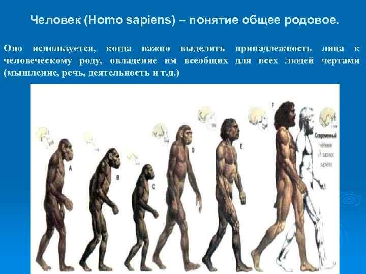 Программа homo sapiens. Человек homo sapiens. Принадлежность человека к роду homo sapiens sapiens. Понятие homo sapiens.. Представители рода homo.