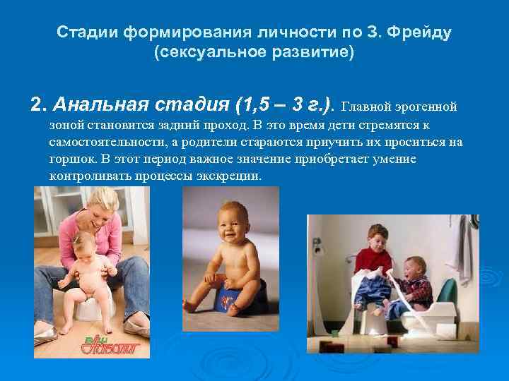 Стадии формирования личности по З. Фрейду (сексуальное развитие) 2. Анальная стадия (1, 5 –