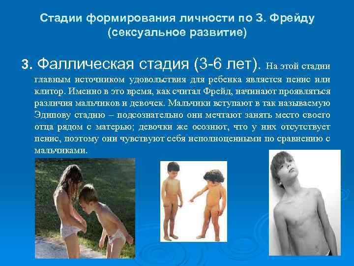 Стадии формирования личности по З. Фрейду (сексуальное развитие) 3. Фаллическая стадия (3 -6 лет).