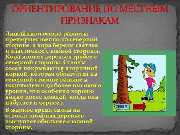 Ориентирование по местным признакам