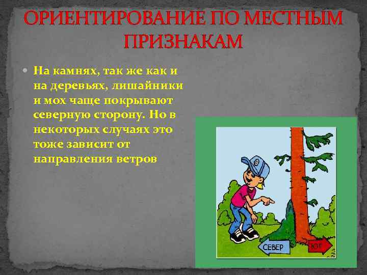 Ориентирование по местным признакам