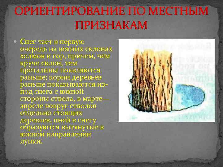 Ориентирование по местным признакам