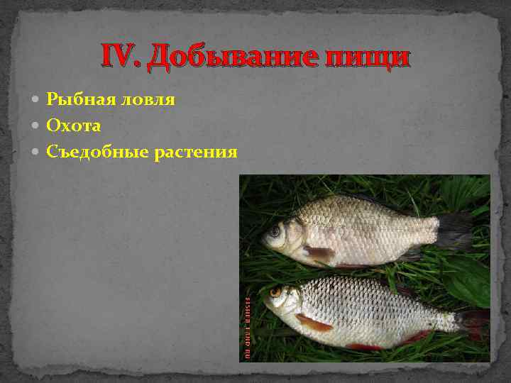 IV. Добывание пищи Рыбная ловля Охота Съедобные растения 