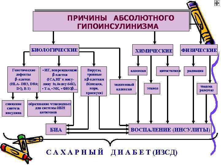 ПРИЧИНЫ АБСОЛЮТНОГО ГИПОИНСУЛИНИЗМА БИОЛОГИЧЕСКИЕ Генетические • ИГ, повреждающие дефекты -клетки -клеток (ICA, ИГ к
