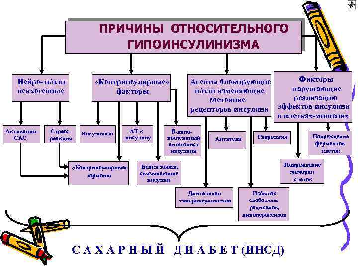ПРИЧИНЫ ОТНОСИТЕЛЬНОГО ГИПОИНСУЛИНИЗМА Нейро- и/или психогенные Активация САС «Контринсулярные» факторы Стрессреакция Инсулиназа АТ к
