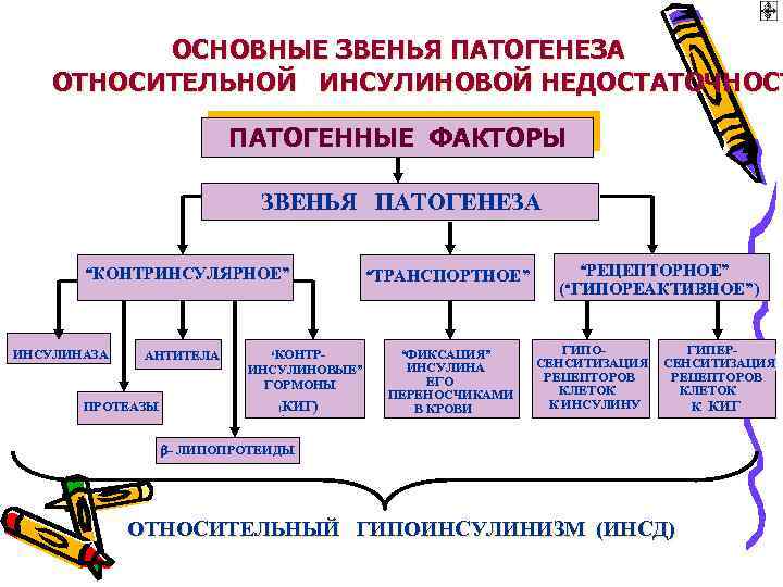 ОСНОВНЫЕ ЗВЕНЬЯ ПАТОГЕНЕЗА ОТНОСИТЕЛЬНОЙ ИНСУЛИНОВОЙ НЕДОСТАТОЧНОСТ ПАТОГЕННЫЕ ФАКТОРЫ ЗВЕНЬЯ ПАТОГЕНЕЗА “КОНТРИНСУЛЯРНОЕ” ИНСУЛИНАЗА АНТИТЕЛА ПРОТЕАЗЫ