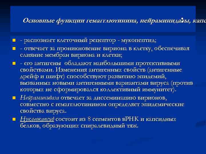 Основные функции гемагглютинина, нейраминидазы, капс : n n n - распознает клеточный рецептор -