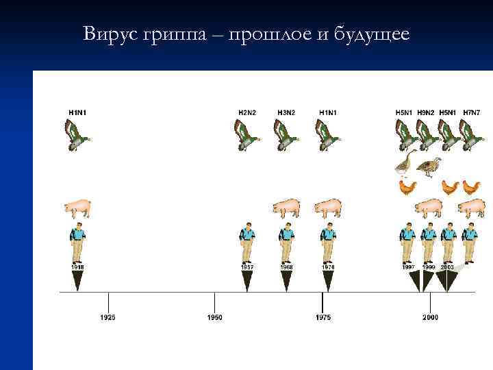 Вирус гриппа – прошлое и будущее 
