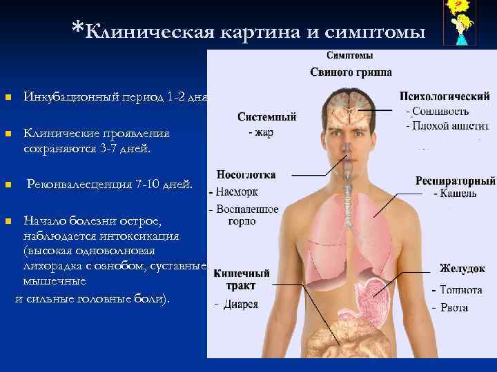 Клиническая картина вич