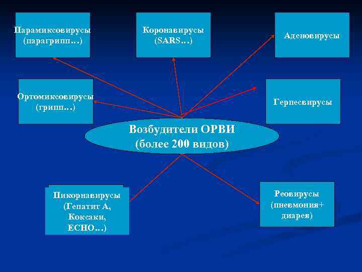 Парамиксовирусы (парагрипп…) Коронавирусы (SARS…) Ортомиксовирусы (грипп…) Аденовирусы Герпесвирусы Возбудители ОРВИ (более 200 видов) Пикорнавирусы