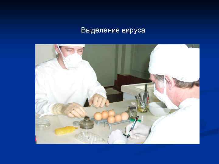 Выделение вируса 