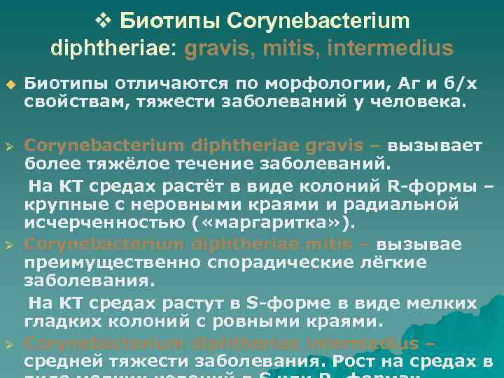 v Биотипы Corynebacterium diphtheriae: gravis, mitis, intermedius u Биотипы отличаются по морфологии, Аг и
