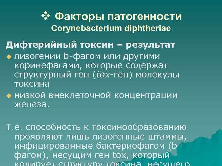v Факторы патогенности Corynebacterium diphtheriae Дифтерийный токсин – результат u лизогении b-фагом или другими