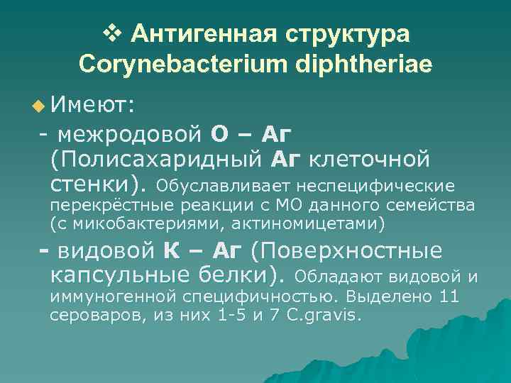 v Антигенная структура Corynebacterium diphtheriae u Имеют: - межродовой О – Аг (Полисахаридный Аг