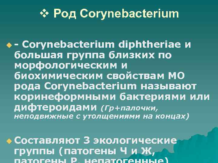 v Род Corynebacterium u- Corynebacterium diphtheriae и большая группа близких по морфологическим и биохимическим