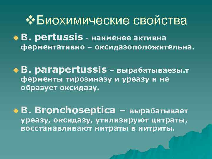v. Биохимические свойства u B. pertussis - наименее активна ферментативно – оксидазоположительна. u B.