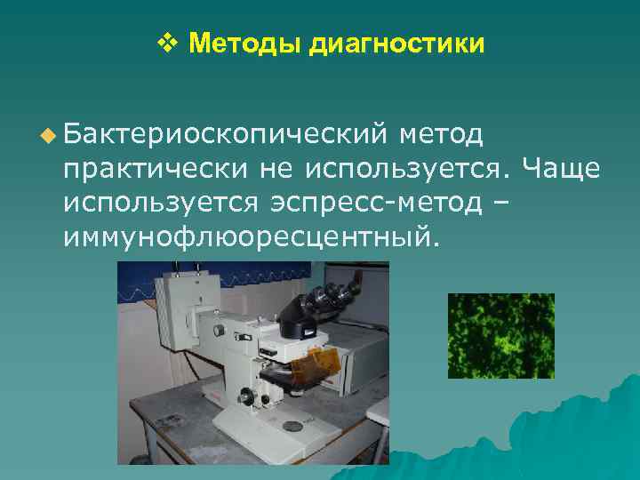 v Методы диагностики u Бактериоскопический метод практически не используется. Чаще используется эспресс-метод – иммунофлюоресцентный.