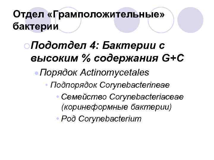 Отдел «Грамположительные» бактерии ¡Подотдел 4: Бактерии с высоким % содержания G+C l Порядок Actinomycetales