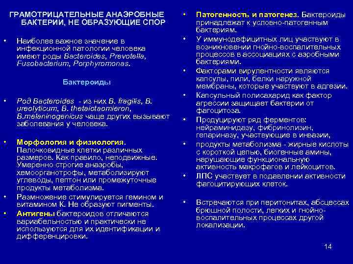 ГРАМОТРИЦАТЕЛЬНЫЕ АНАЭРОБНЫЕ БАКТЕРИИ, НЕ ОБРАЗУЮЩИЕ СПОР • Наиболее важное значение в инфекционной патологии человека
