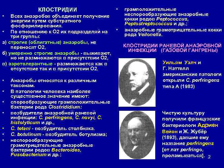 КЛОСТРИДИИ • • Всех анаэробов объединяет получение энергии путем субстратного фосфорилирования. • • По