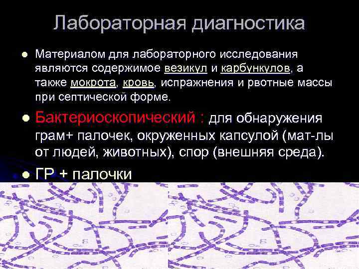 Лабораторная диагностика l Материалом для лабораторного исследования являются содержимое везикул и карбункулов, а также