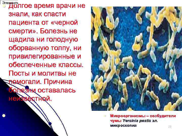 l Долгое время врачи не знали, как спасти пациента от «черной смерти» . Болезнь
